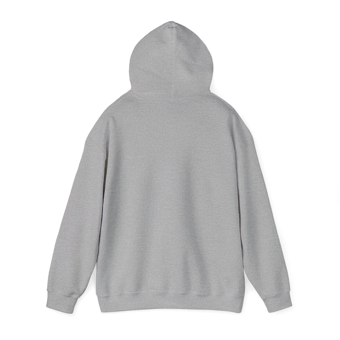 USA Flag Hockey Distressed Adult Unisex Beach Hooded Sweatshirt