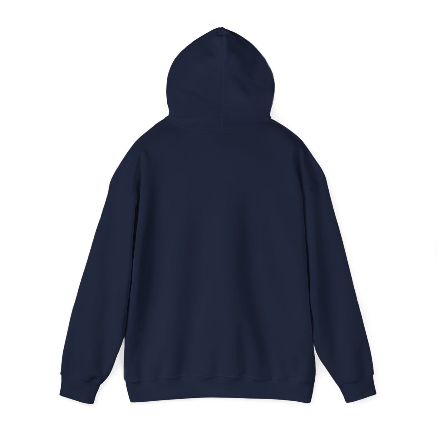 USA Flag Hockey Distressed Adult Unisex Beach Hooded Sweatshirt