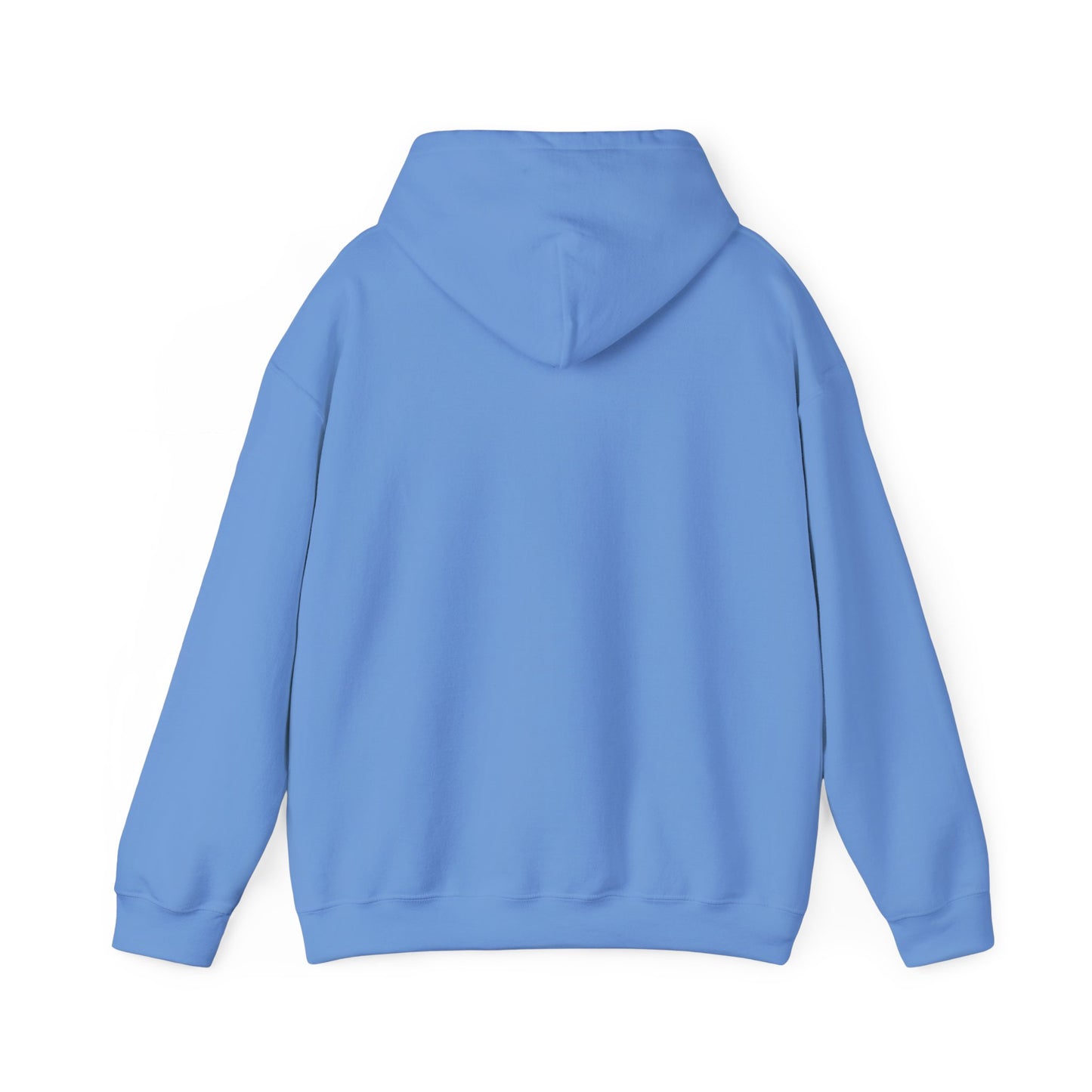 Surf's Up Distressed Adult Unisex Beach Hooded Sweatshirt Hoodie