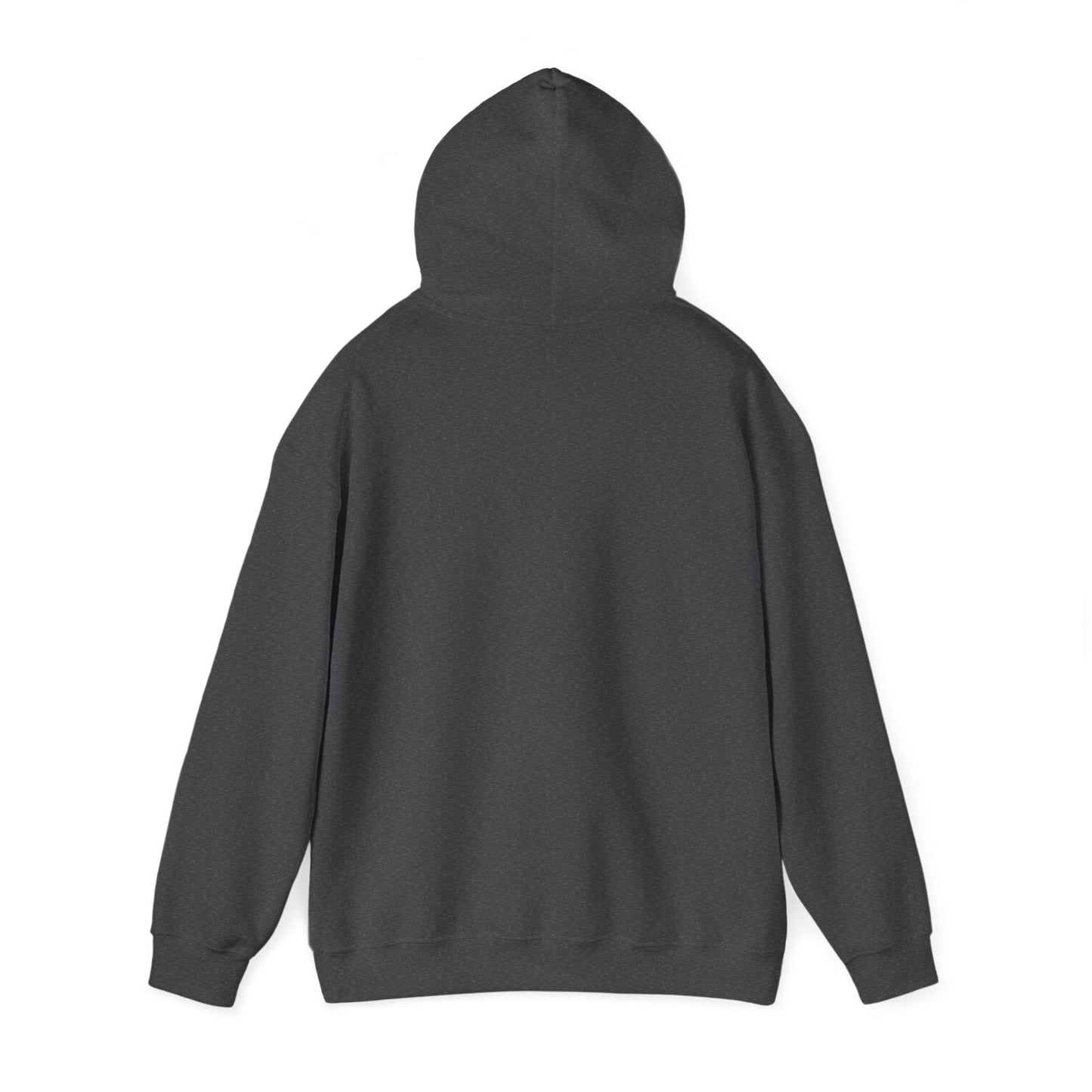 USA Flag Hockey Distressed Adult Unisex Beach Hooded Sweatshirt