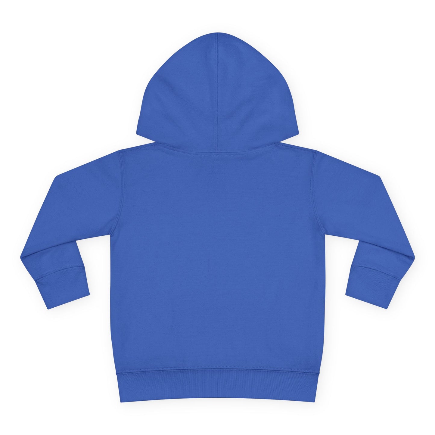 Surf's Up Distressed Toddler Pullover Sweatshirt Fleece Hoodie